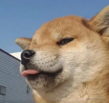 前端原生JS案例