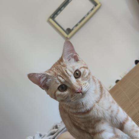 贝拉老公月光加冕于2022-11-13 23:13发布的图片