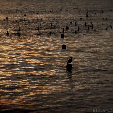 谁家好人干前端于2022-07-27 09:04发布的图片