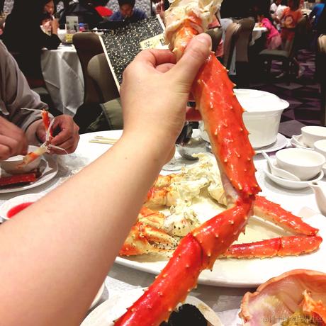 HTCHIO于2022-12-10 00:48发布的图片