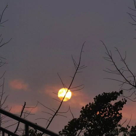 来吃红烧肉于2022-11-19 15:58发布的图片