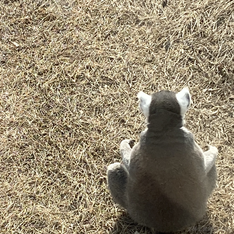 大和Danny于2022-03-05 14:25发布的图片