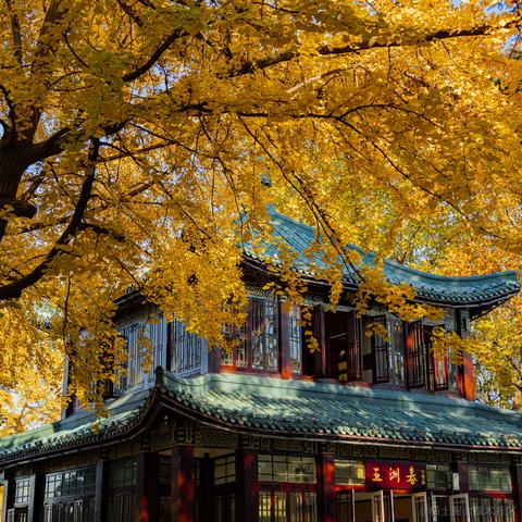 吾与徐公孰美耶于2023-12-04 15:13发布的图片