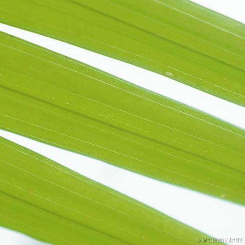 红毛丹于2022-03-21 13:43发布的图片