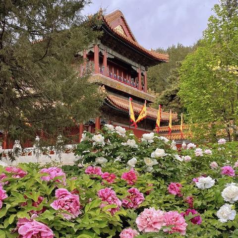 彩虹糖的梦于2023-05-03 23:25发布的图片