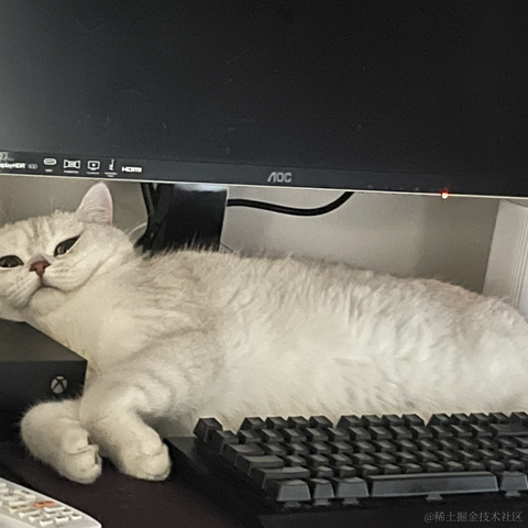 喵怼怼于2023-05-23 10:11发布的图片