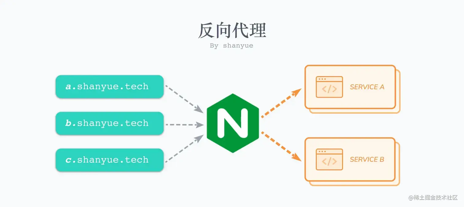 5.webp