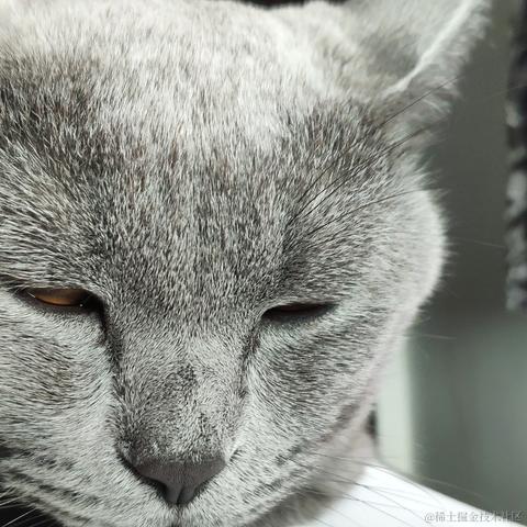 发射二向箔于2021-10-27 17:47发布的图片