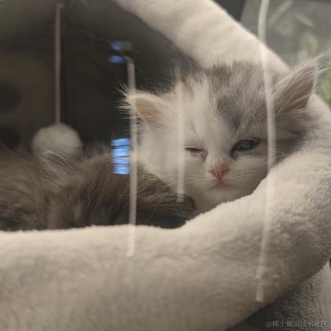 魔导师向晚于2022-11-17 14:44发布的图片