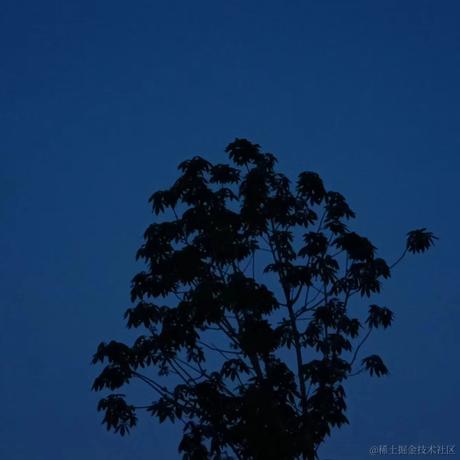 椰佬小KK于2024-04-07 20:34发布的图片