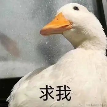 前端命令行部署：再也不用把dist包给后端部署服务了！