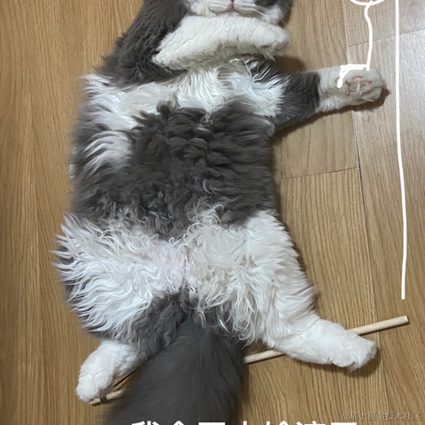 小北丶于2021-06-19 20:23发布的图片