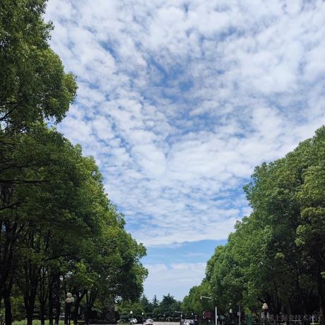 枝江第一深情于2023-07-05 13:30发布的图片