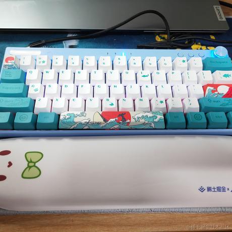 青蒜有你3于2023-03-01 16:21发布的图片