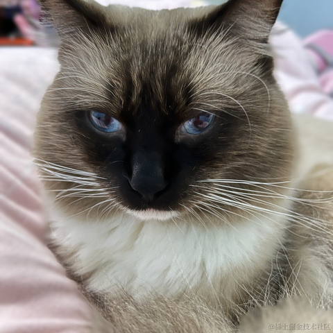 小鲸鱼mm于2021-12-28 09:51发布的图片