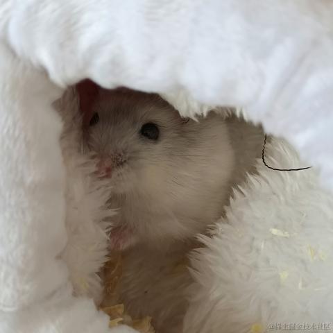 敲敲敲敲暴你脑袋于2023-10-24 12:33发布的图片