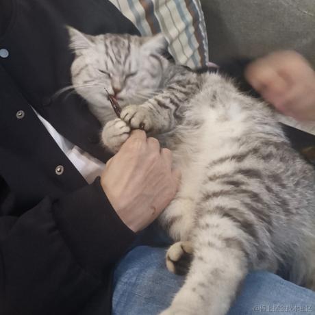 GKFTech于2022-02-15 10:33发布的图片