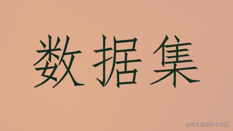 数据集详情