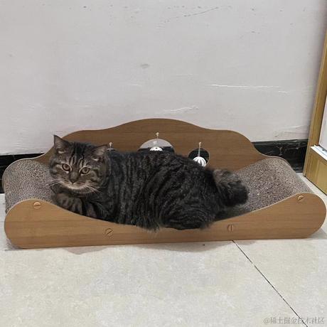 我不想丸辣于2023-06-01 16:46发布的图片