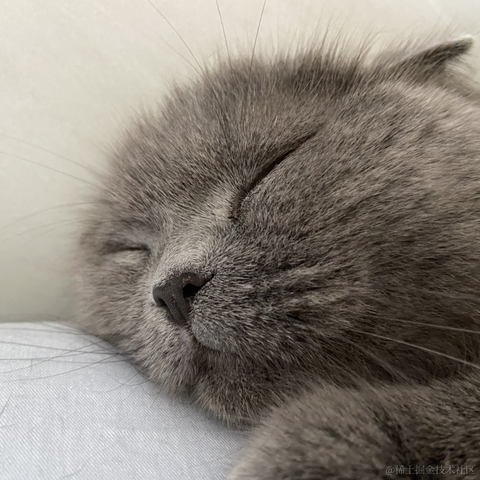 我是个靓崽于2023-04-27 22:29发布的图片