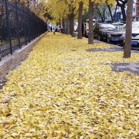 ArloQ于2022-11-12 13:41发布的图片