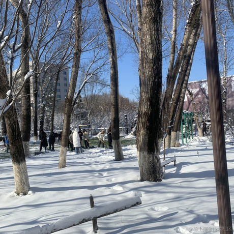 有这回事于2022-12-01 23:50发布的图片