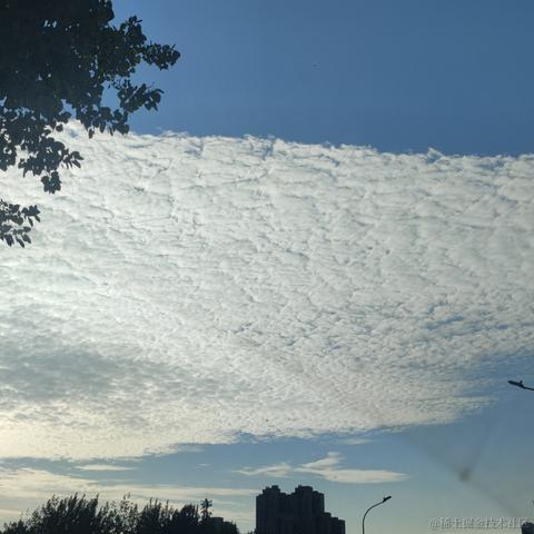 花花的专业于2023-07-01 06:53发布的图片