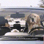 琪官于2021-06-25 09:18发布的图片