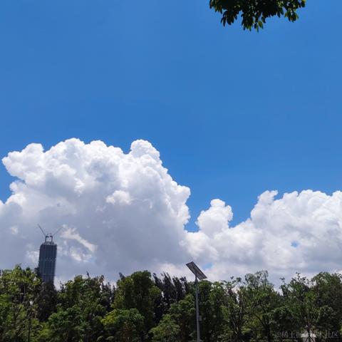 934于2021-05-18 12:17发布的图片