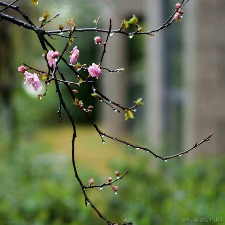 用户您好于2023-04-21 10:41发布的图片