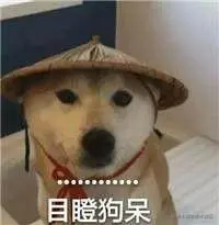 755b5bec987a40c7b6b82ea8a92c0a22_tplv-k3u1fbpfcp-watermark (1).jpg