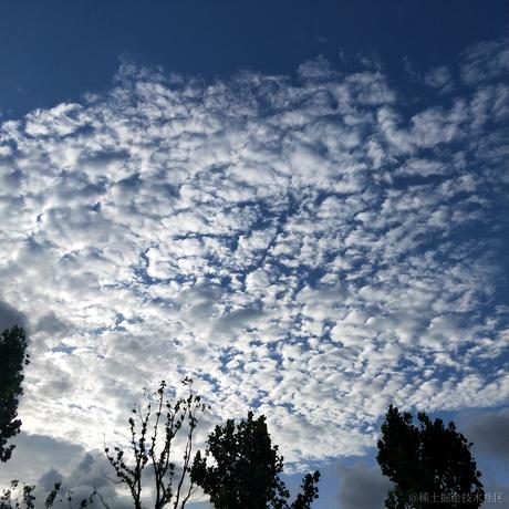 枝江A手党于2022-12-09 08:07发布的图片