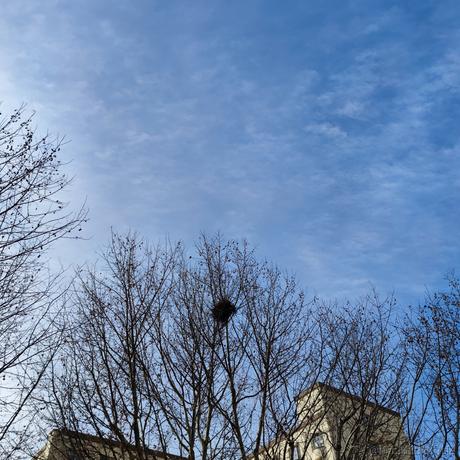 打刀客于2022-12-03 13:29发布的图片