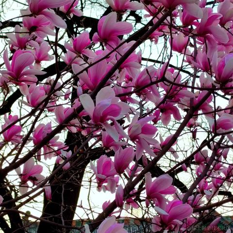 taoye于2023-04-10 22:15发布的图片
