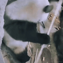 德育处主任于2022-07-06 08:55发布的图片