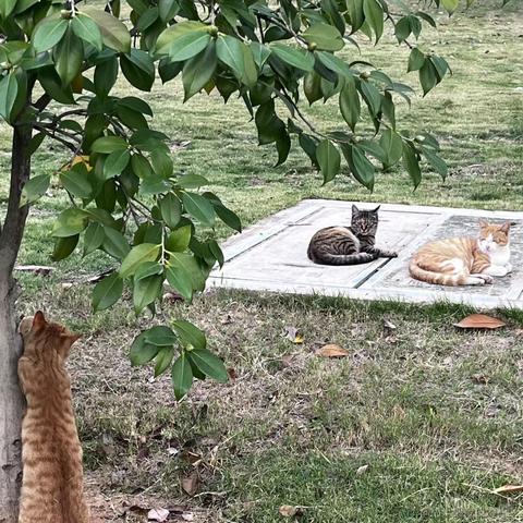 Coca_Cola于2022-12-02 20:30发布的图片