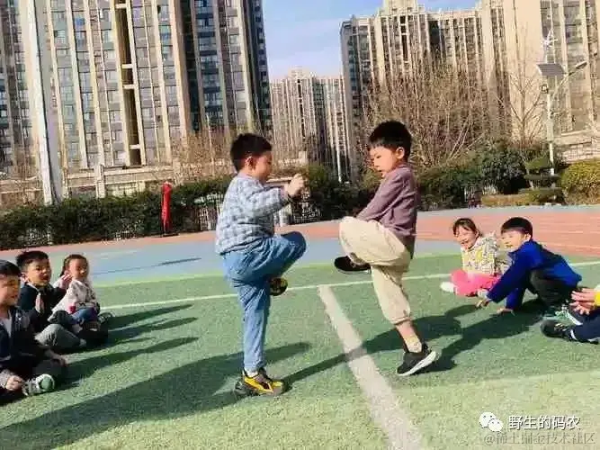 斗鸡