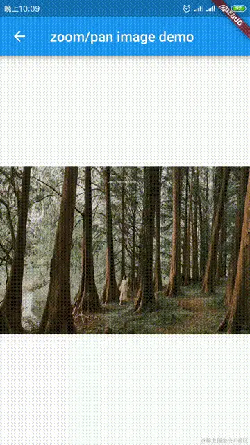 zoom.gif
