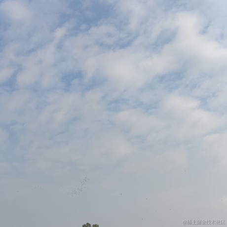 avaavaava于2022-11-29 12:46发布的图片