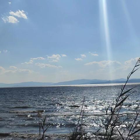 爱球球于2023-12-21 16:44发布的图片