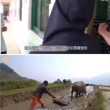 设置成功于2022-11-17 12:22发布的图片