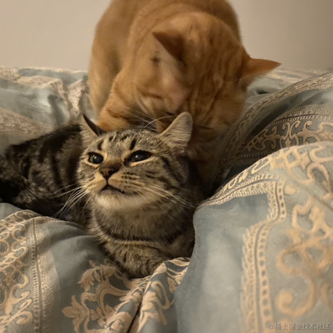 avavaava于2022-11-18 01:20发布的图片