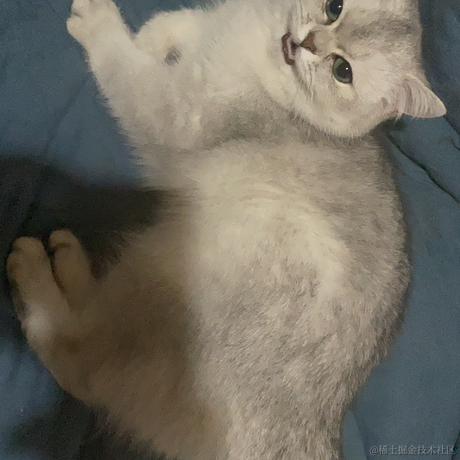 行无大因于2022-03-10 11:09发布的图片