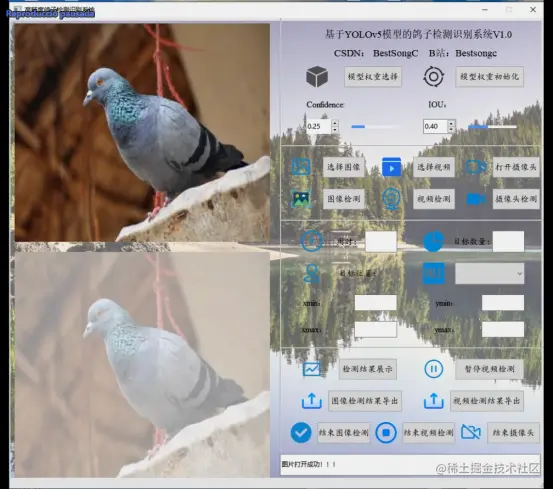 高精度鸽子检测识别系统2049.png