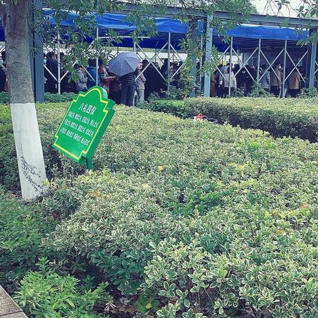 魔怔时代于2022-11-28 13:21发布的图片