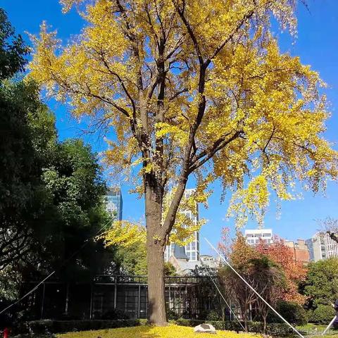 SUGAR0813于2021-03-24 17:50发布的图片