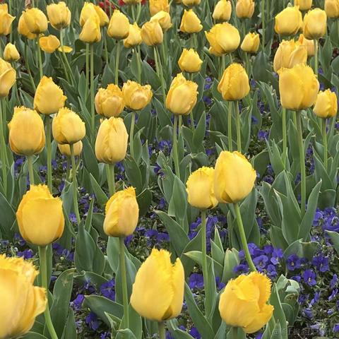 无糖气泡水于2023-03-15 07:53发布的图片