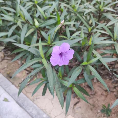 地狱拖拉机于2022-11-21 07:45发布的图片