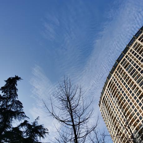 泊浮目于2021-12-19 17:00发布的图片