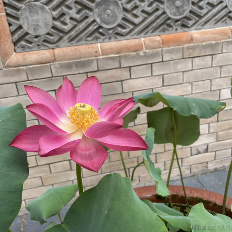 张百万于2022-11-23 15:35发布的图片